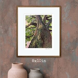 ‘Grounded’ Limited Edition Glicée Fine Art Print Unframed Signed Nature Tree